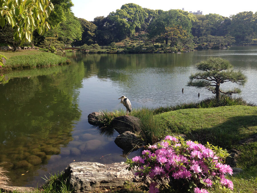 Japanese garden. travel company