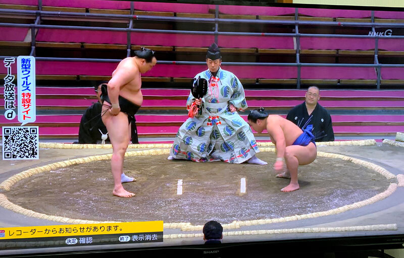 the Grand Sumo Championship