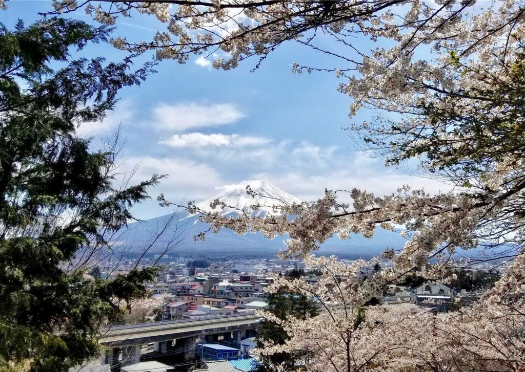 Mt. Fuji from Fuji Sengen Shrine